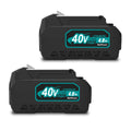 40V Lithium-Ion Battery Pack 2-Pack Z91897