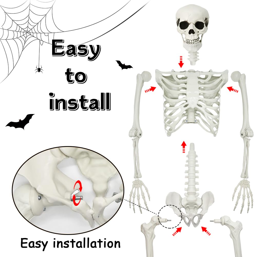 5.4Ft Posable Halloween Skeleton with Dog Cat Skeleton H19308