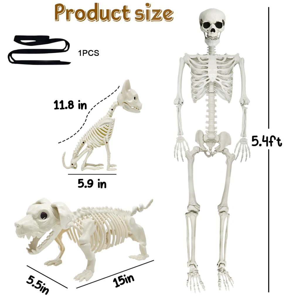 5.4Ft Posable Halloween Skeleton with Dog Cat Skeleton H19308