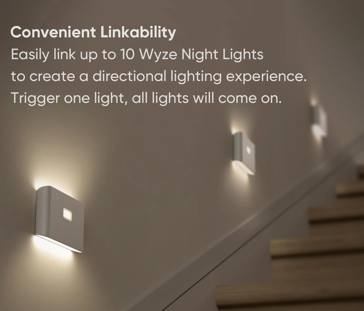 Smart Scale & Night Lights 3 Pack I163
