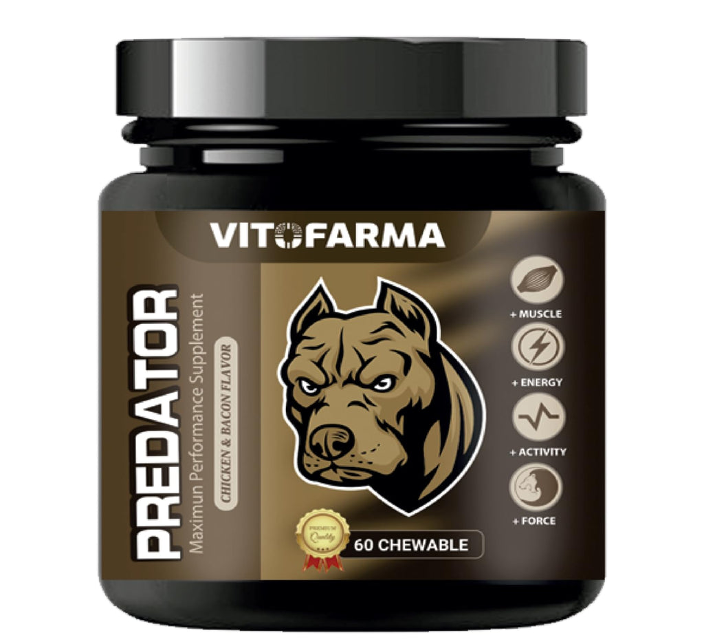Chewable Tablets for Dogs T439404