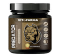 Chewable Tablets for Dogs T439404