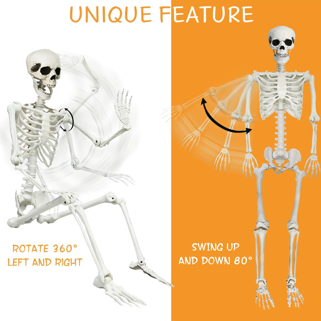 5.4Ft Posable Halloween Skeleton with Dog Cat Skeleton H19308