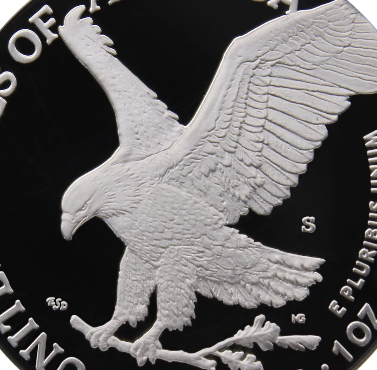 1 oz American Silver Eagle Coin F462390