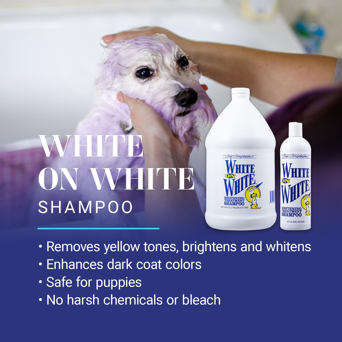 White Dog Shampoo 16OZ Q206