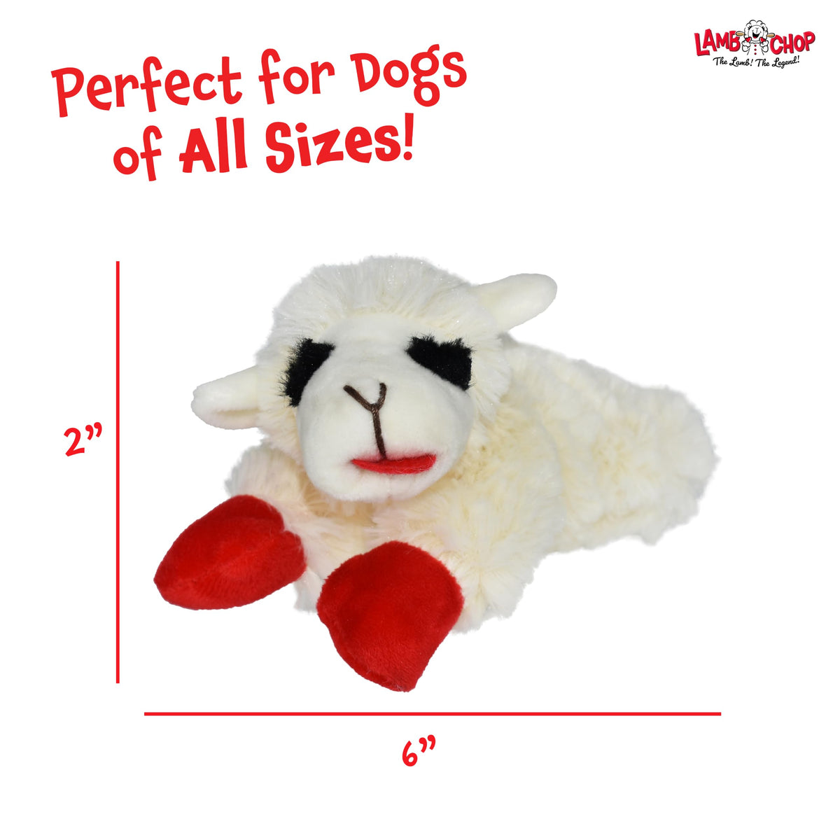 Dog Plush Squeaky Toy C904