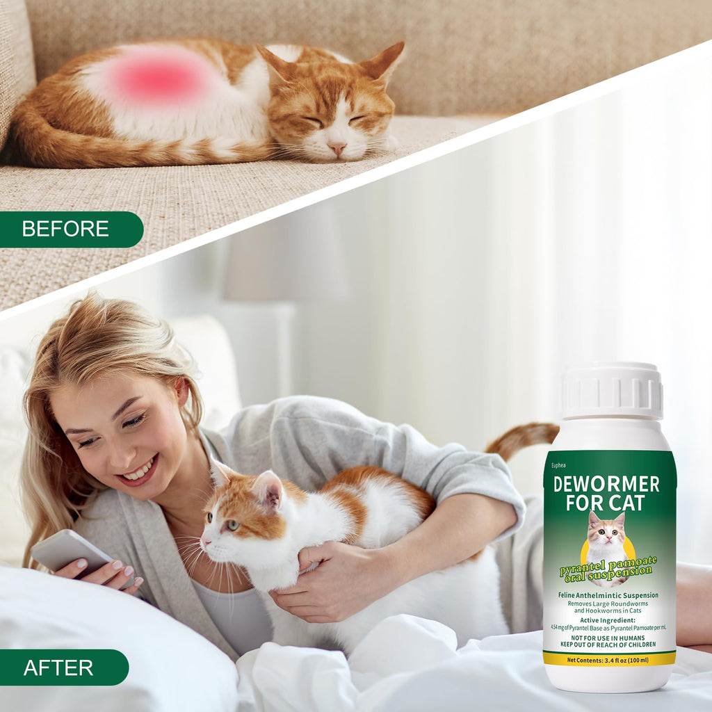 Pyrantel Pamoate Oral Suspension for Cats & Kittens, 100 mL T151745