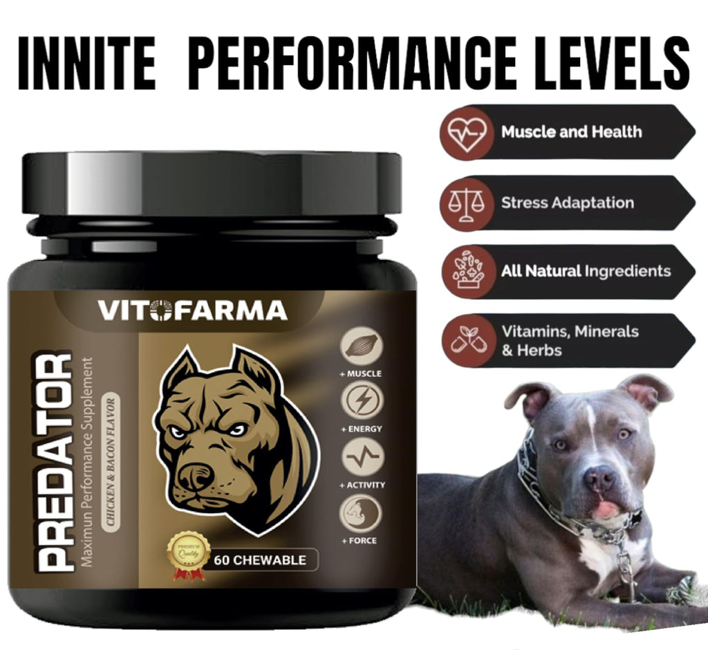 Chewable Tablets for Dogs T439404