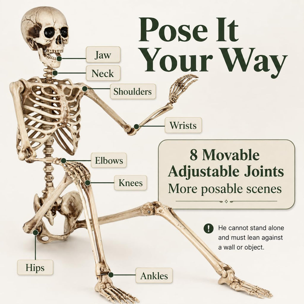 5.4 Ft Life Size Posable Skeleton R7377
