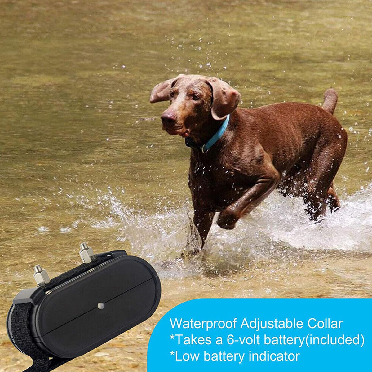 Electronic Dog Fence & Training Collar, 1/2 Acre Waterproof T9687