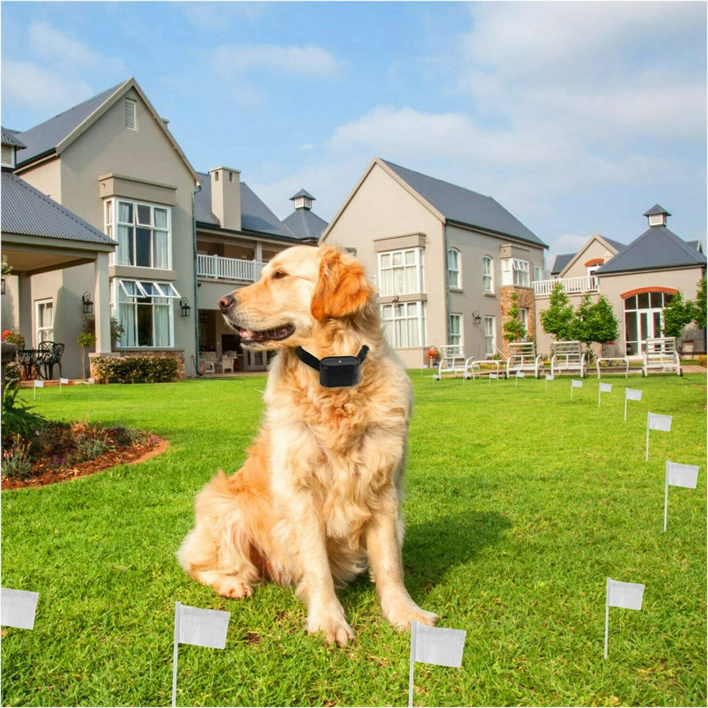 Wireless Electric Dog Fence System, In-ground/Aboveground Pet Containment System Z6116