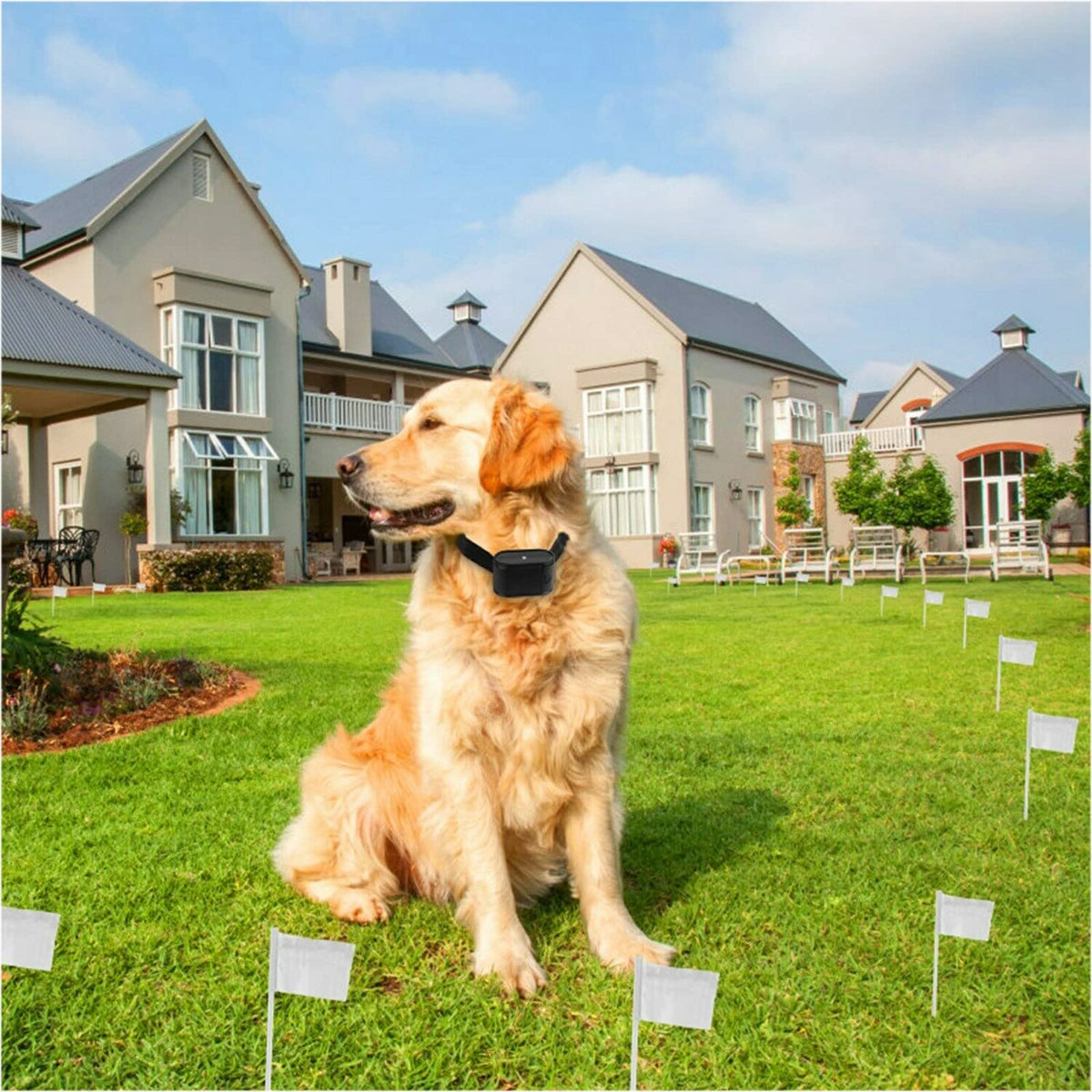 Wireless Electric Dog Fence System, In-ground/Aboveground Pet Containment System Z6116