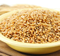 Hard White Spring Wheat Berries, 50 Lb. Bag N1267