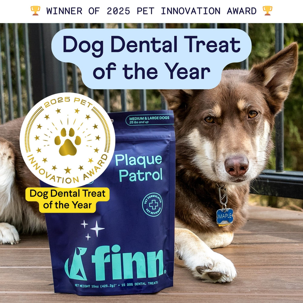 Dental Chews for Dogs 25+ lbs O37693