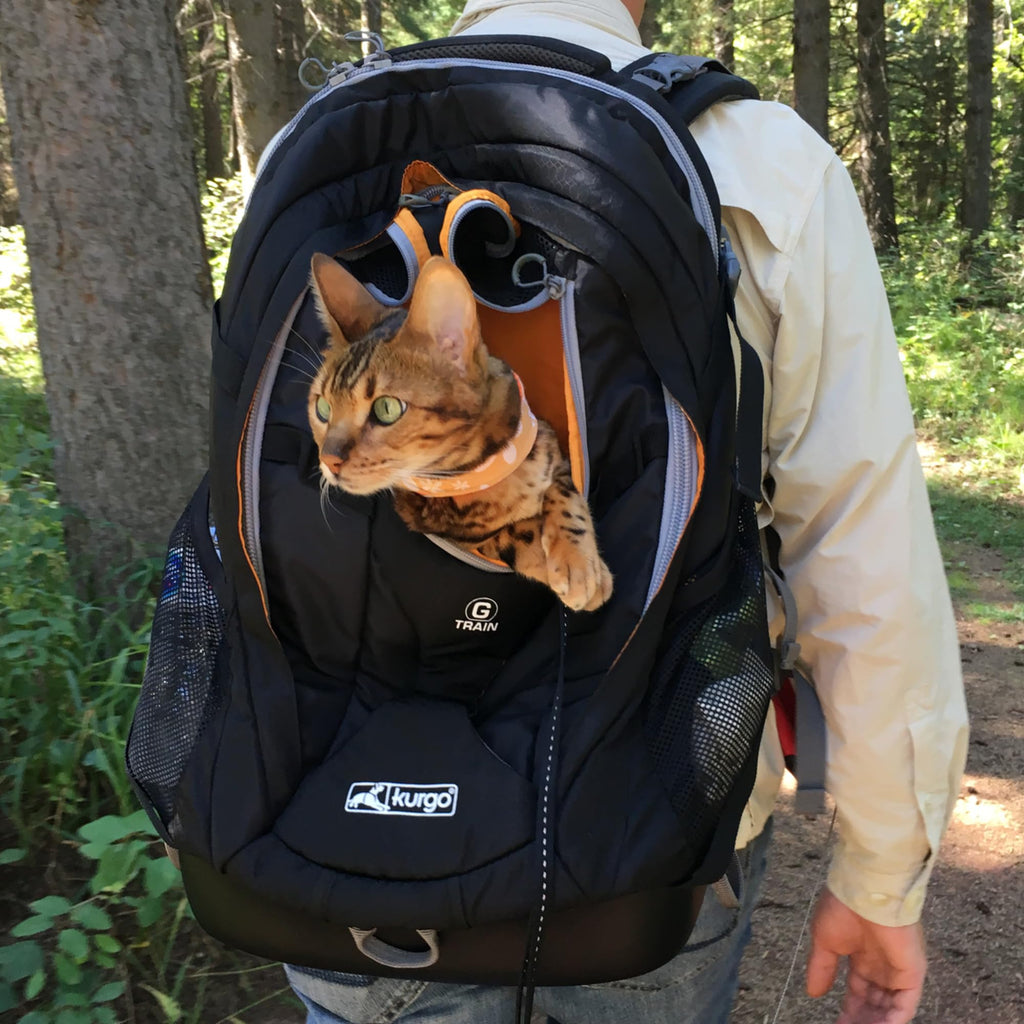 Black Pet Carrier Backpack W1983
