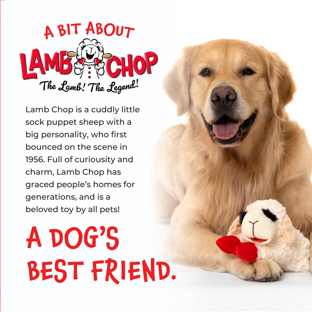 Dog Plush Squeaky Toy C904