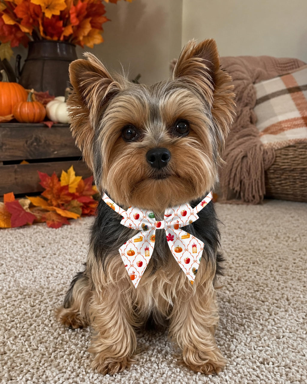 50 Pack Dog Bowties D606