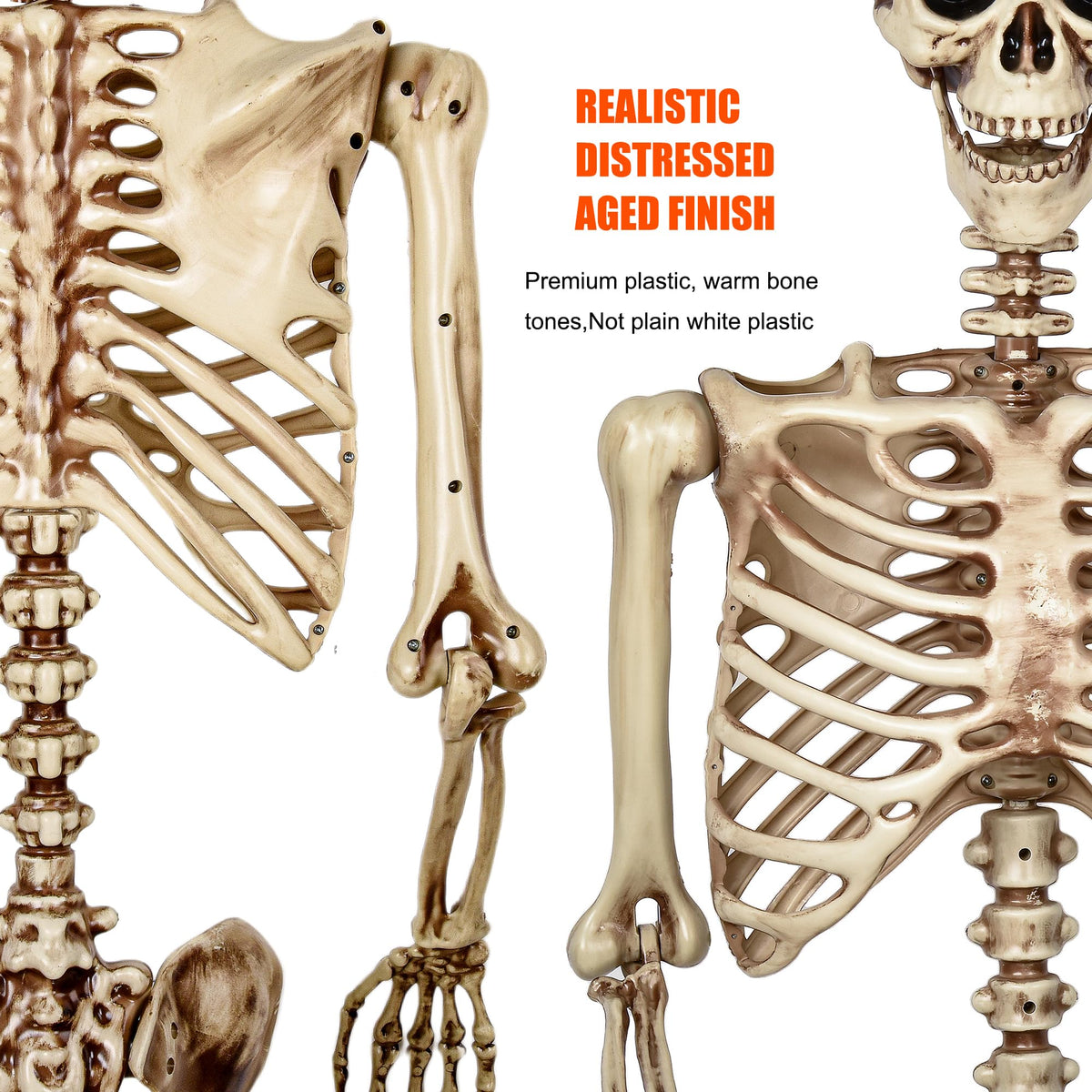 5.4 Ft Life Size Posable Skeleton R7377