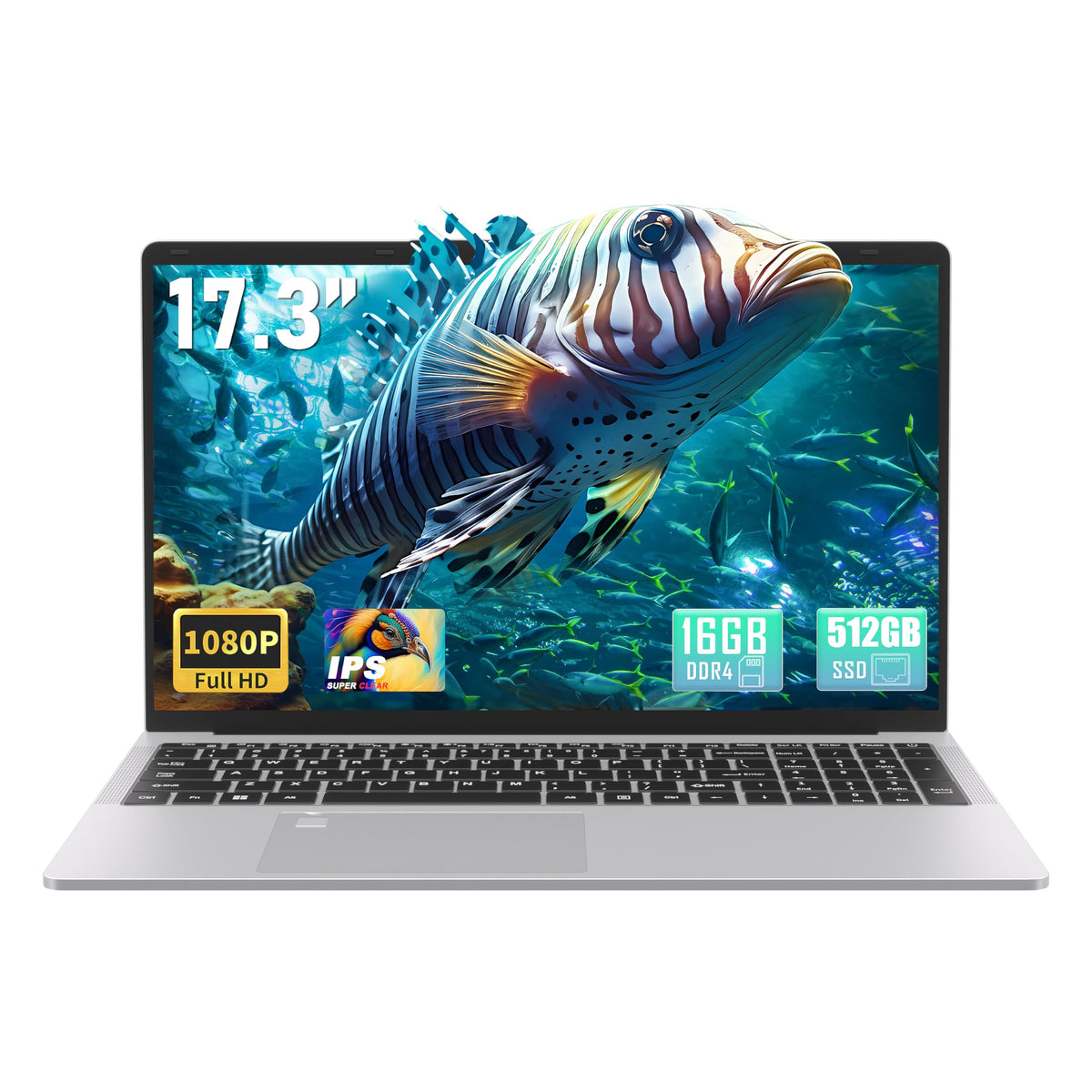 17.3" FHD IPS Business Laptop Computer, Silver V562726