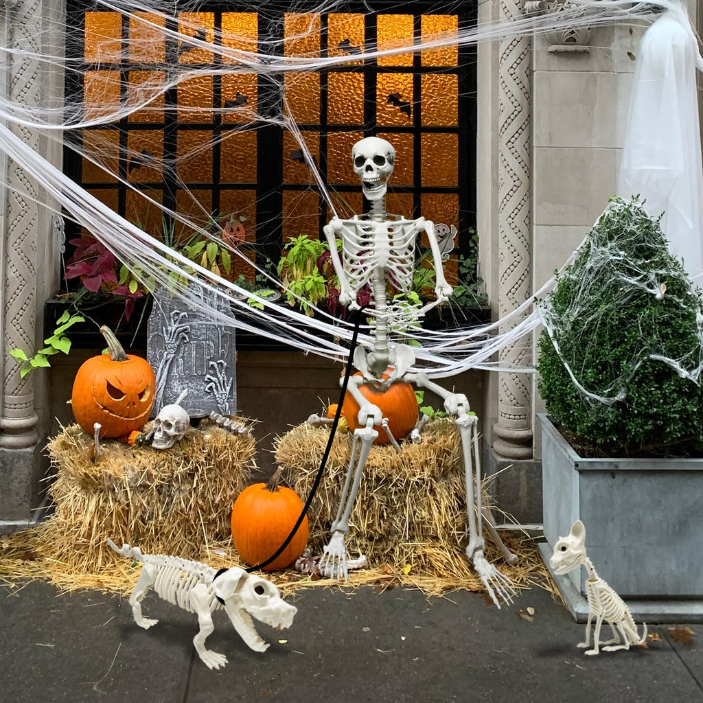 5.4Ft Posable Halloween Skeleton with Dog Cat Skeleton H19308