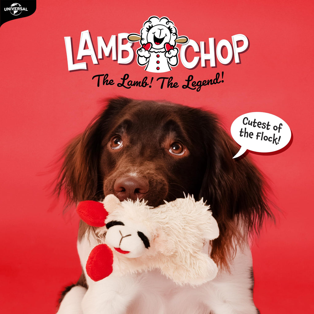 Dog Plush Squeaky Toy C904