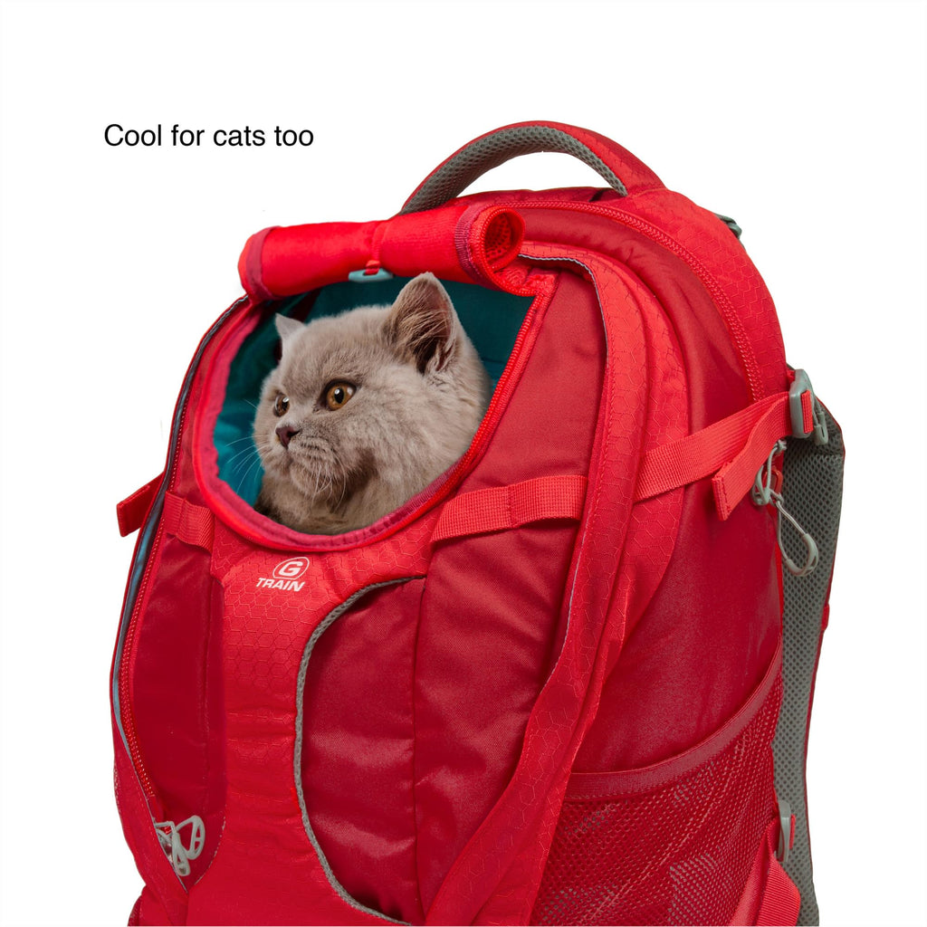 Black Pet Carrier Backpack W1983