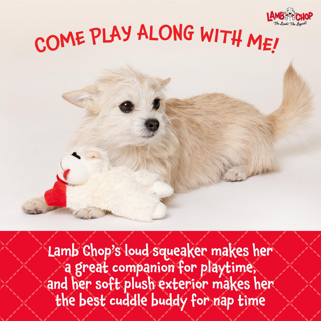 Dog Plush Squeaky Toy C904