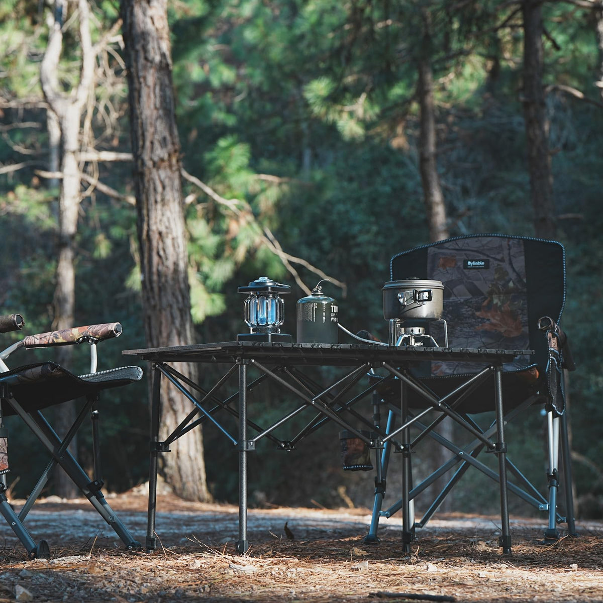 Folding Camping Table Aluminum Adjustable Height Black A286985