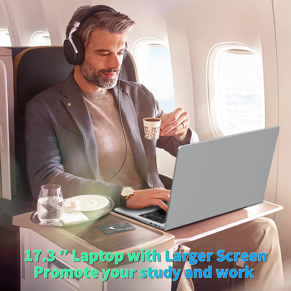17.3" FHD IPS Business Laptop Computer, Silver V562726