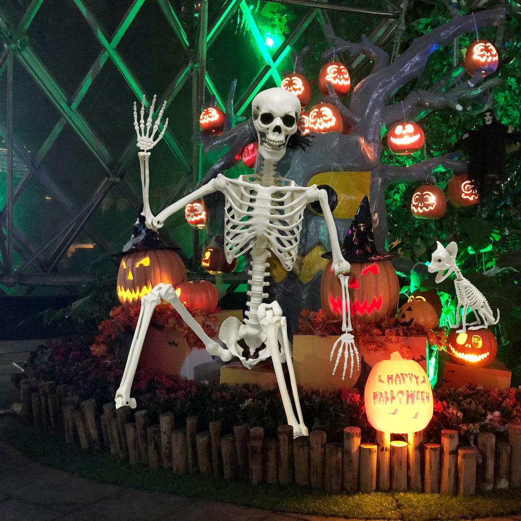 5.4Ft Posable Halloween Skeleton with Dog Cat Skeleton H19308