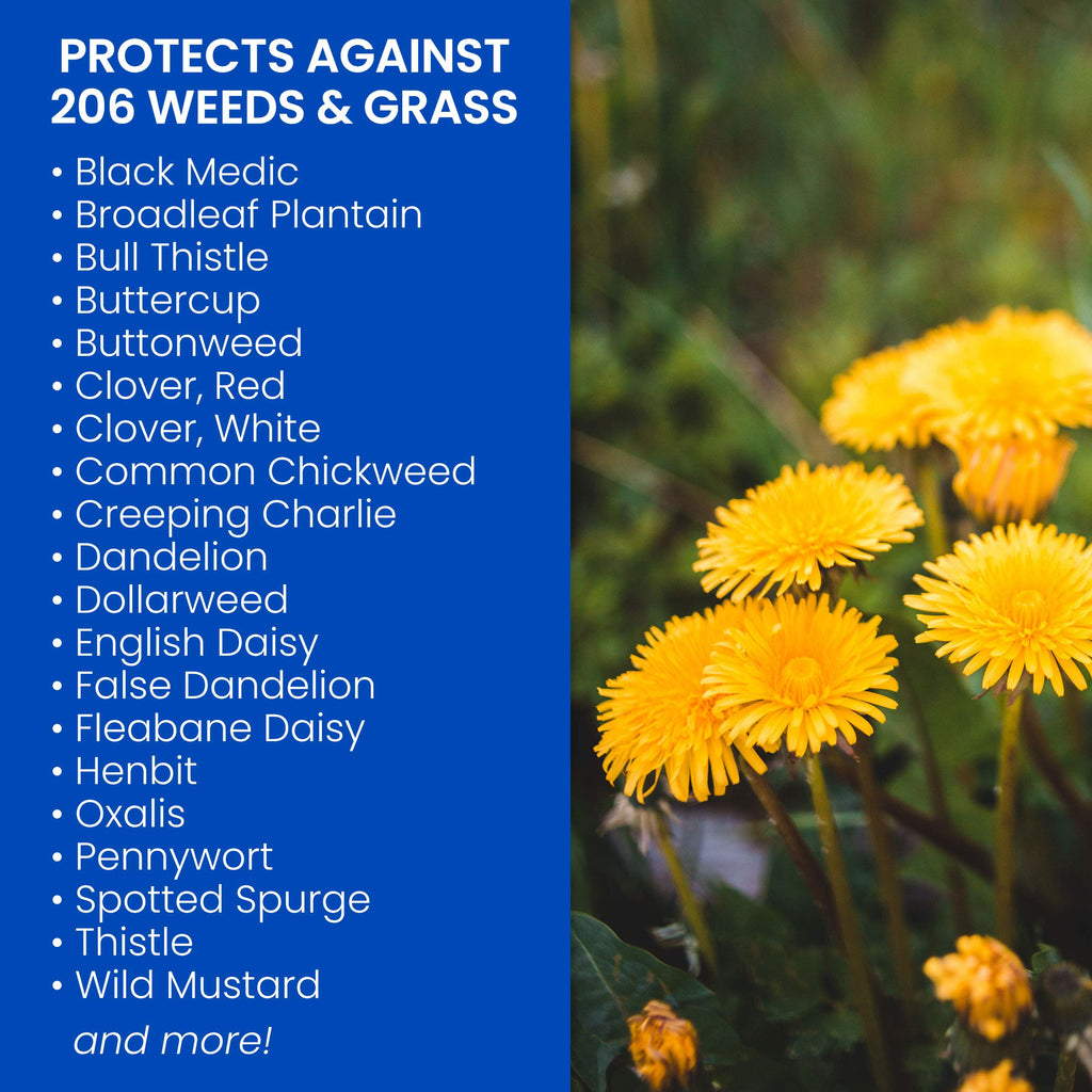 Southern Weed Killer for Lawns 1 Gal Pack of 2 P8552