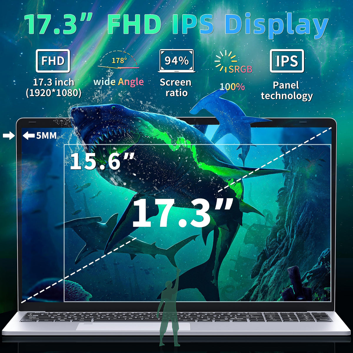 17.3" FHD IPS Business Laptop Computer, Silver V562726