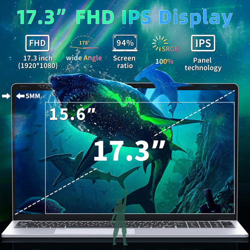 17.3" FHD IPS Business Laptop Computer, Silver V562726
